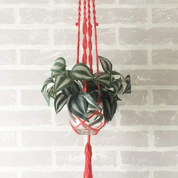 Handmade red cotton macrame plant hanger. - Picture 5 of 8